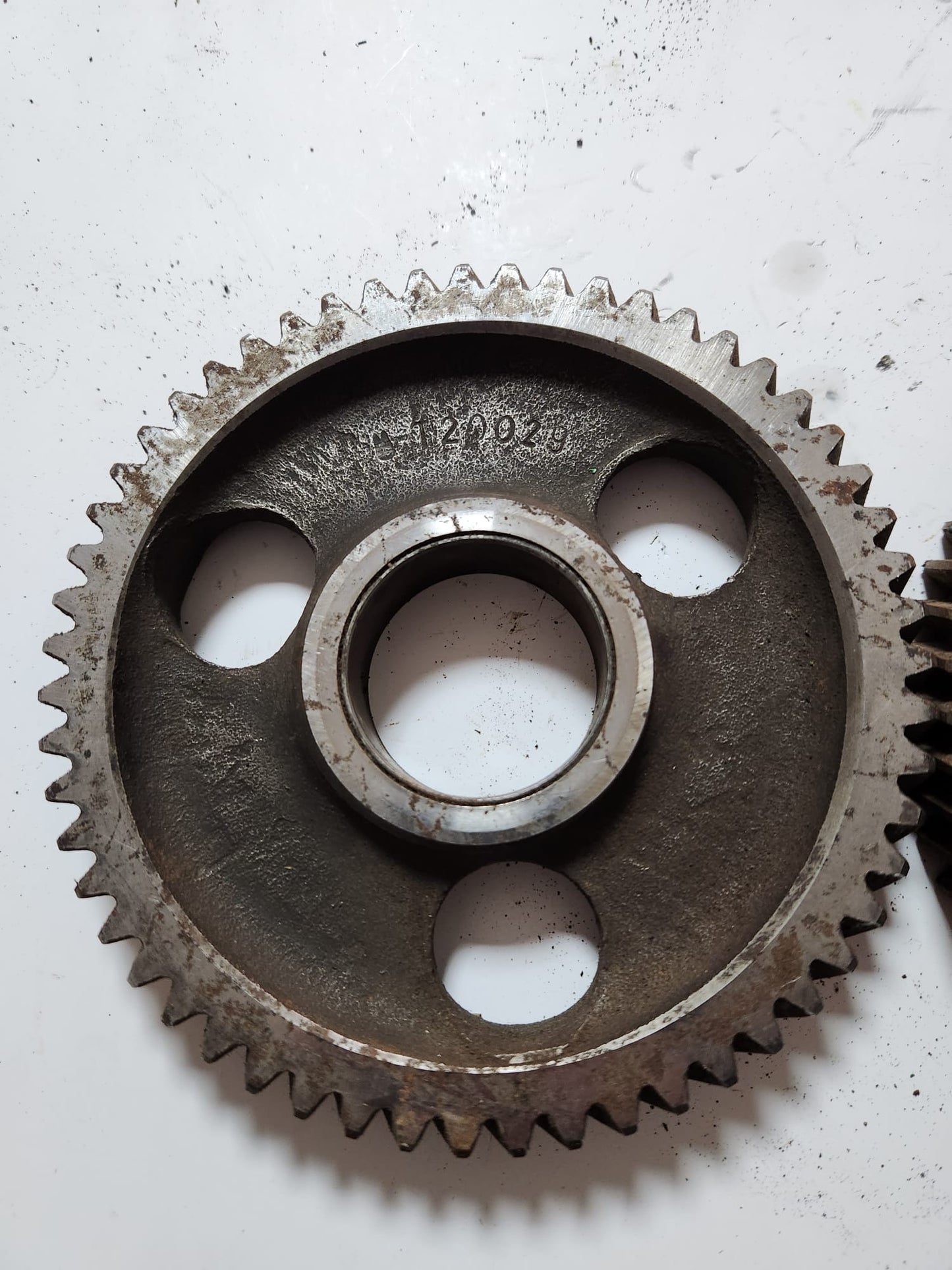 Pinion arbore - T20029
