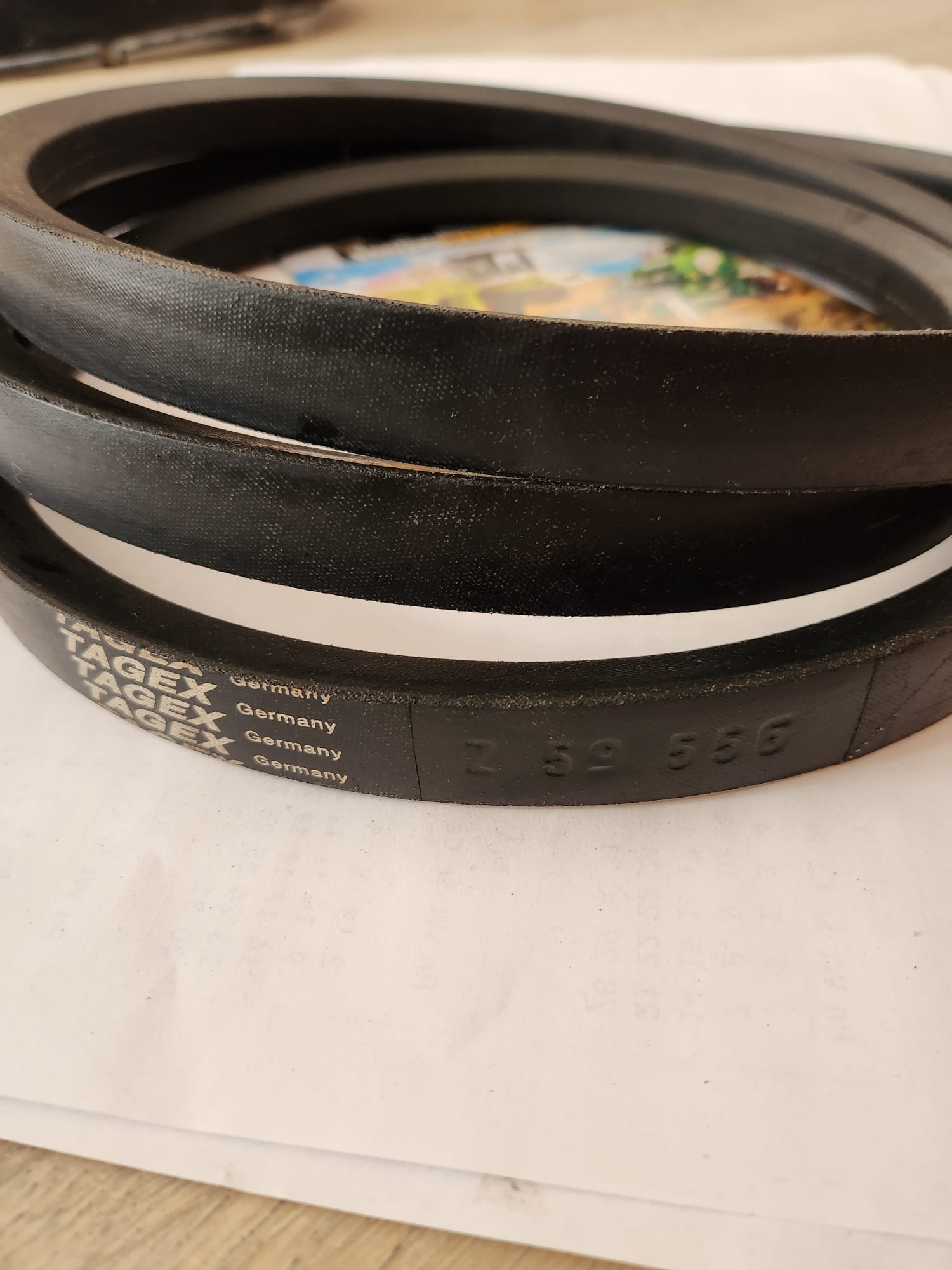 Curea combina - Z59556