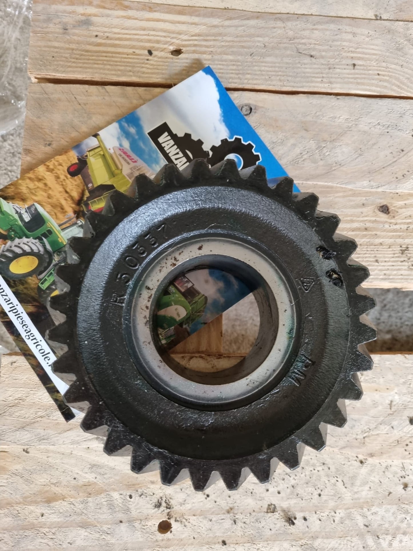 Pinion cutie de viteza - R50337